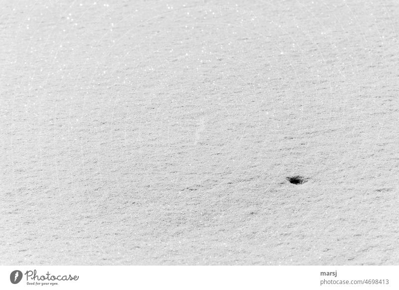 Minimalism in the untouched snow. Or the black hole in the universe after all? Cold Snow Winter Nature Snow layer freshly-snowed Snowscape naturally chill