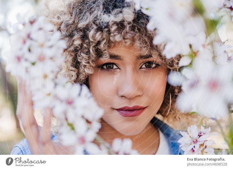 portrait of beautiful hispanic woman with afro hair in spring among pink blossom flowers. nature close up almond tree colorful curly hair lifestyle young