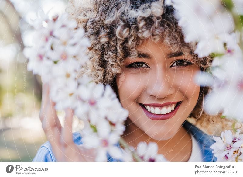 portrait of happy hispanic woman with afro hair in spring among pink blossom flowers. nature close up almond tree colorful curly hair lifestyle young blooming