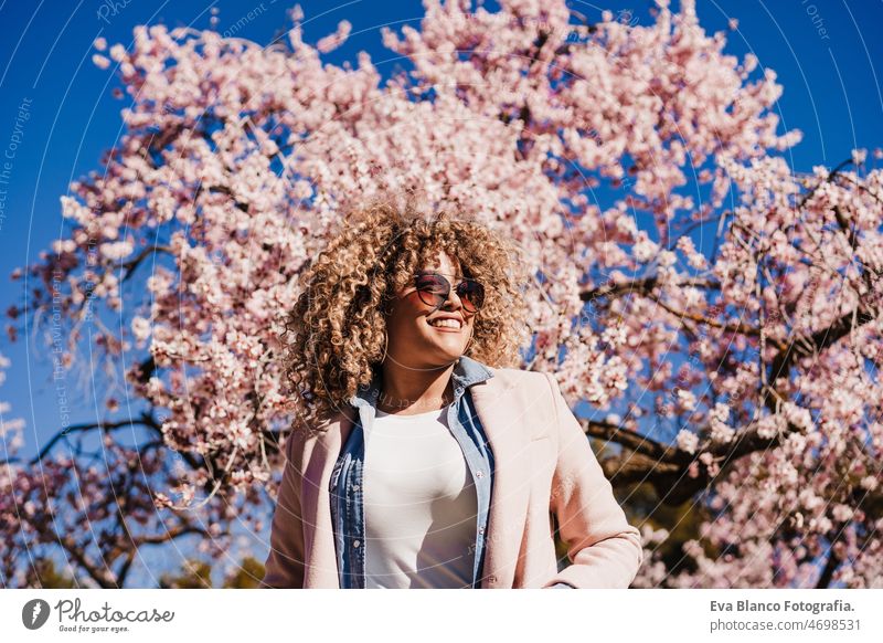 portrait of happy hispanic woman with afro hair in spring among pink blossom flowers. sunny nature close up almond tree colorful curly hair lifestyle young