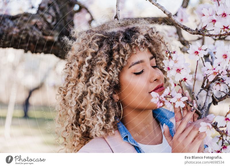 portrait of beautiful hispanic woman with afro hair in spring smelling pink blossom flowers. nature close up almond tree colorful curly hair lifestyle young