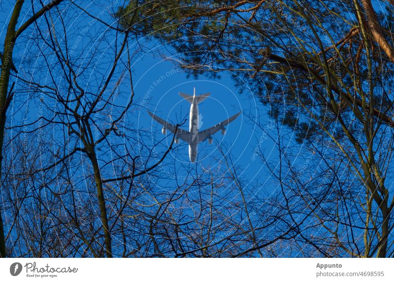 Airplane in blue sky between trees voyage Forest Blue sky vacation Relaxation wanderlust air traffic flight Environment Treetops Flying