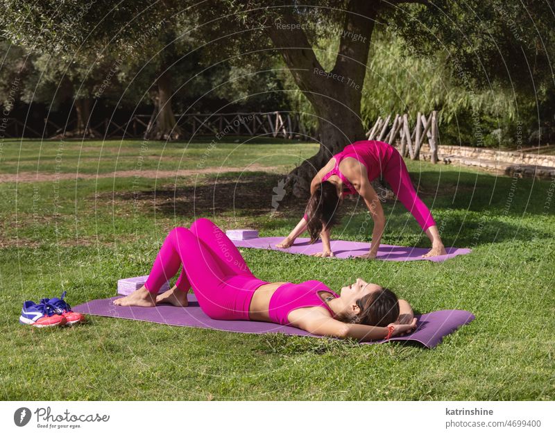 Two women in pink clothing doing exercises in a park woman yoga mat pilates sport health sit summer green sunny young middle aged two Concentrated outdoor