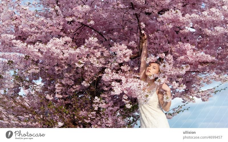 sensual, seductive, portrait of a sexy, young blonde woman in pink flower tree blossoms of a blossoming tree in april, spring awakening, sakura panorama banner