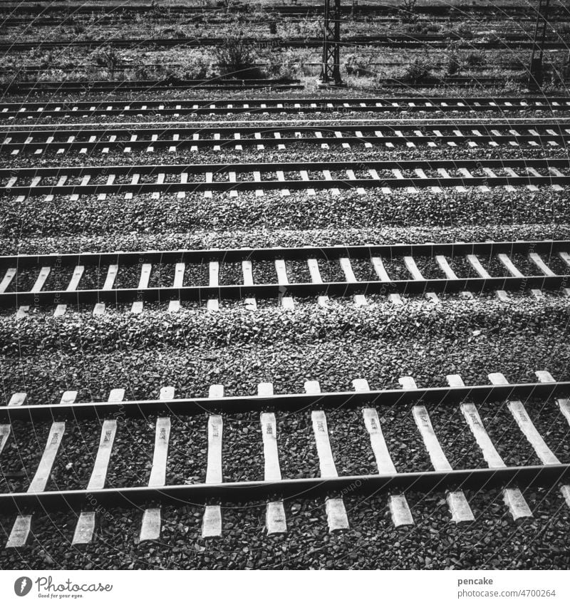 solang noch züge geh‘n Gleise Bahnhof Bahngleise Zug Transport fahren reisen Reise schwarz-weiß Muster Struktur Hintergrund Eisenbahn Ziel Heimat Ankunft kommen