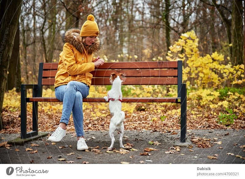 Woman with dog walk in autumn park nature outdoor pet leaf season outdoors animal breed canine cheerful companion daytime domestic friend friendship happy