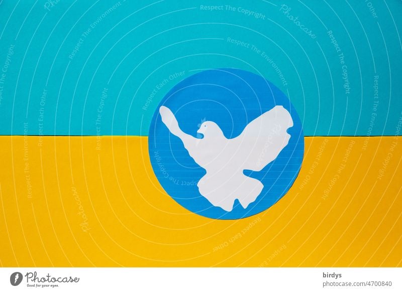 Flag of Ukraine in national colors with a dove of peace flag Dove of peace Peace message War War of aggression Longing for peace peace symbol Ukraine flag