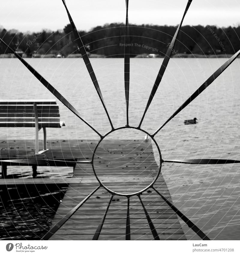 Place in the sun Sun Bench Footbridge Duck Water Black & white photo Idyll Lake Sky Calm Nature Lakeside Deserted Relaxation Landscape Environment Autumn
