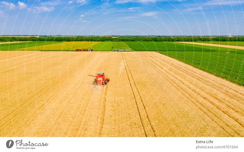 Above view on obsolete combine, harvester machine, harvest ripe cereal Agricultural Agriculture Cereal Combine Country Crop Cut Dry Farm Farmer Farming Farmland