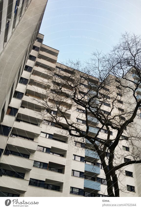 lofty dreams (II) High-rise Tree dwell Sky wax Balconies Window Facade size ratio urban Town
