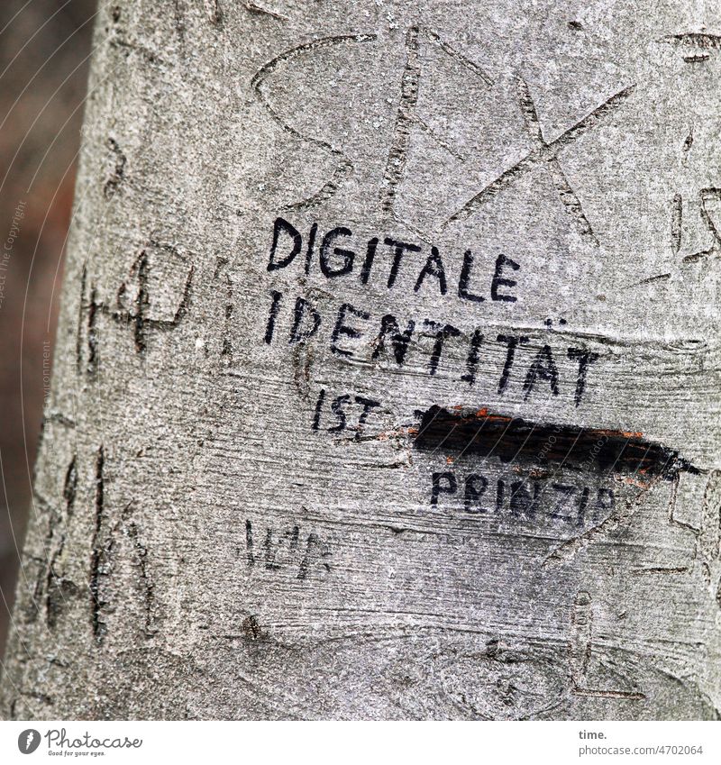 public nuisance | analog is when you do it anyway Tree saying Disagreement graffiti Text lines Tree trunk crossed out Opinion Wisdom Daub striking