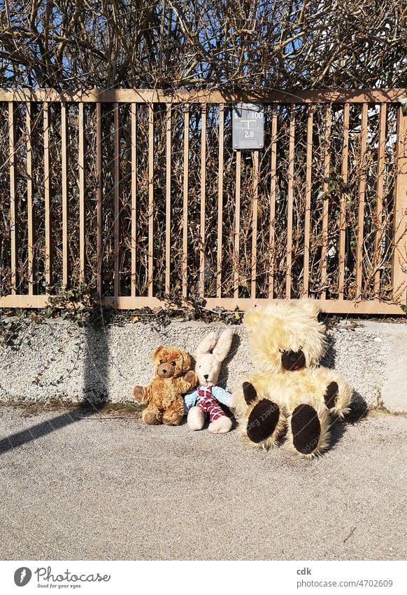 Sitting on the street. Cuddly toy cuddly toys Toys to give away on the sidewalk Exposed Wait to go by oneself Without owner Teddy bears Stuffed bunny