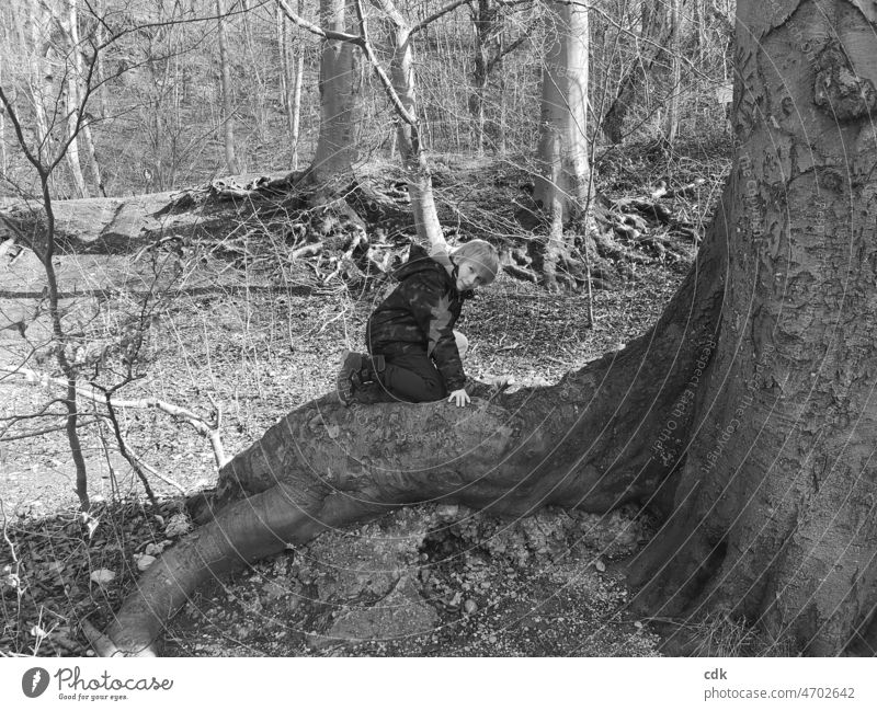 Childhood | in nature | on a root. Boy (child) Nature out Tree Root Climbing Sit Smiling eye contact Trip To go for a walk hike Break trees black-white Forest