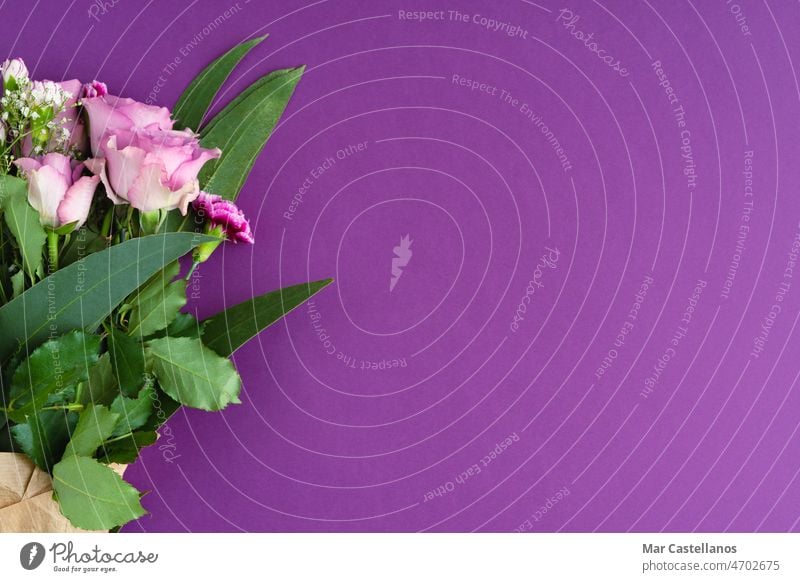 Bouquet with purple roses and eucalyptus on purple background. Copy space. Top view. flowers bouquet carnations copy space top view woman day womans day
