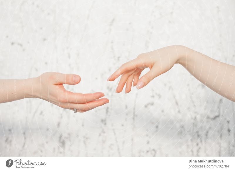 two female hands almost touching on neutral background, connection of two souls women woman young concept together holding adult Hand person love lifestyle girl