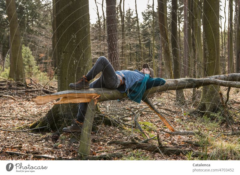 In the forest, young man resting Hiking Nature Young man person Environmental damage Plant Tree Storm damage burst cleaved Wind Gale Forest Coniferous forest