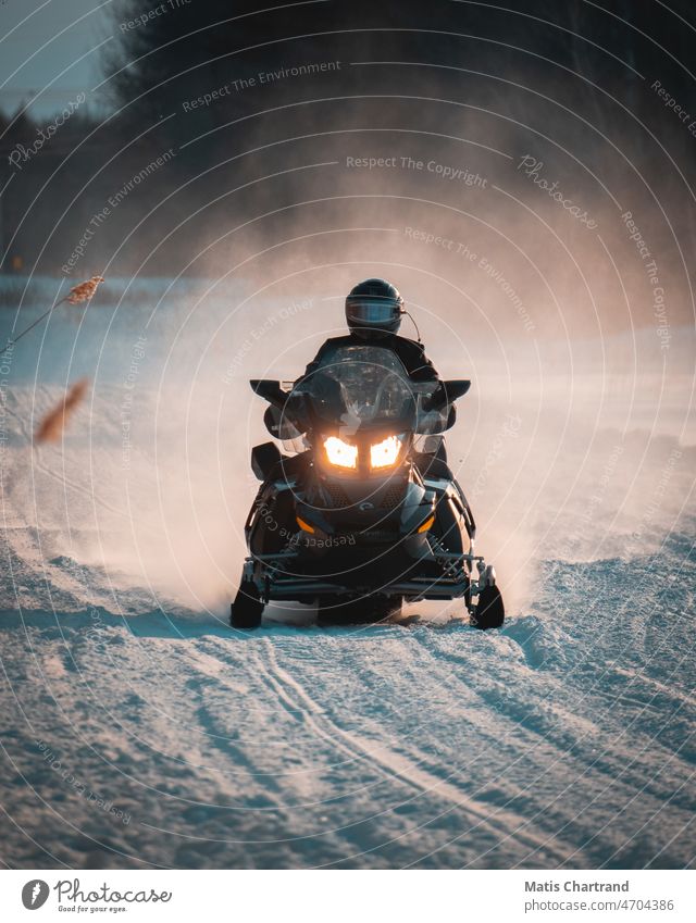 Snowmobile riding in the snow Winter Winter mood Winter's day Winter vacation Winter forest wintertime Snowflake snowy Cold White Nature Winter walk