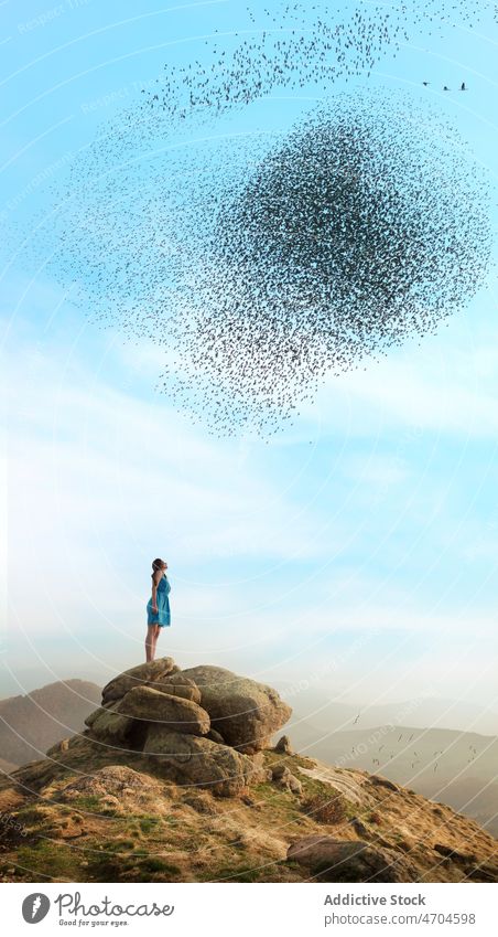 Woman standing on boulder and admiring flock of starlings woman admire bird rock freedom harmony nature highland female observe mountain flight explore valley