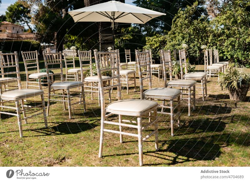 Rows of chairs for wedding ceremony in backyard set lawn festive holiday event occasion row tree grass summer collection celebrate style vivid sunshine bright