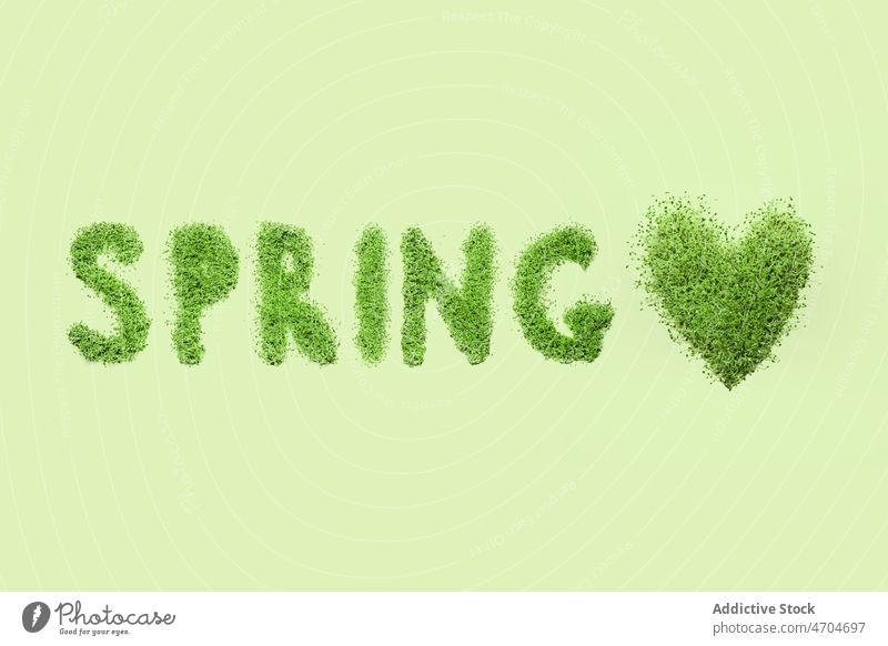 Spring inscription made of grass spring greenery plant nature life natural design word creative concept fresh letter color bright vivid flora light colorful
