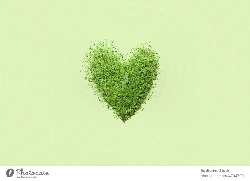 Heart of green grass on wall heart greenery plant nature spring life natural love design creative concept shape fresh color symbol bright vivid flora light