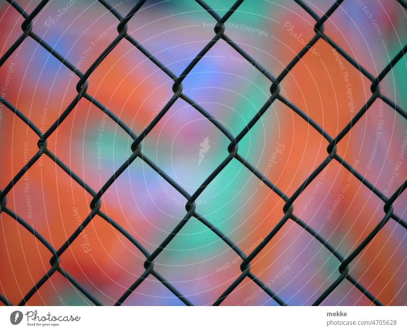 Color blobs plaid (#100) Fence Grating Metalware Safety cordon Structures and shapes Pattern Barrier Protection Hoarding Fences lattice fence Fenced in Bans