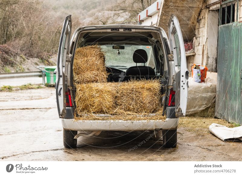 Hay in trunk of car van hay countryside industrial agronomy agriculture industry storage shabby rustic pile stack rural dried building vehicle transport heap