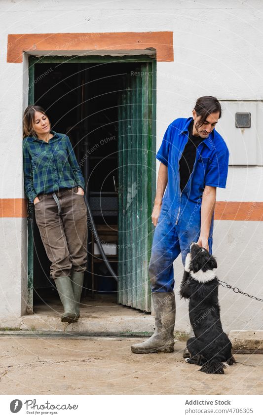 Couple of workers petting dog in countryside couple farmer owner stroke animal rural habitat rustic fauna fluff adorable woman creature cute mammal specie