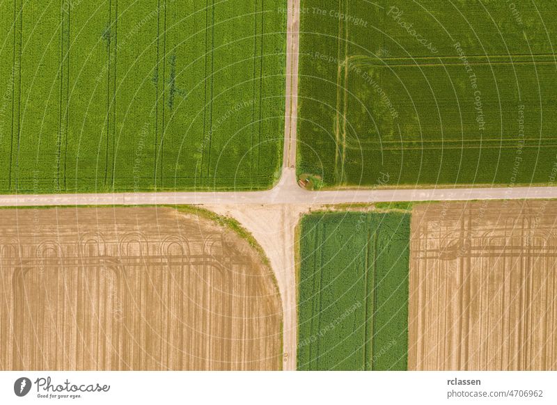 Abstract geometric shapes of agricultural parcels of different crops in yellow and green colors. Aerial view shoot from drone directly above field farmland
