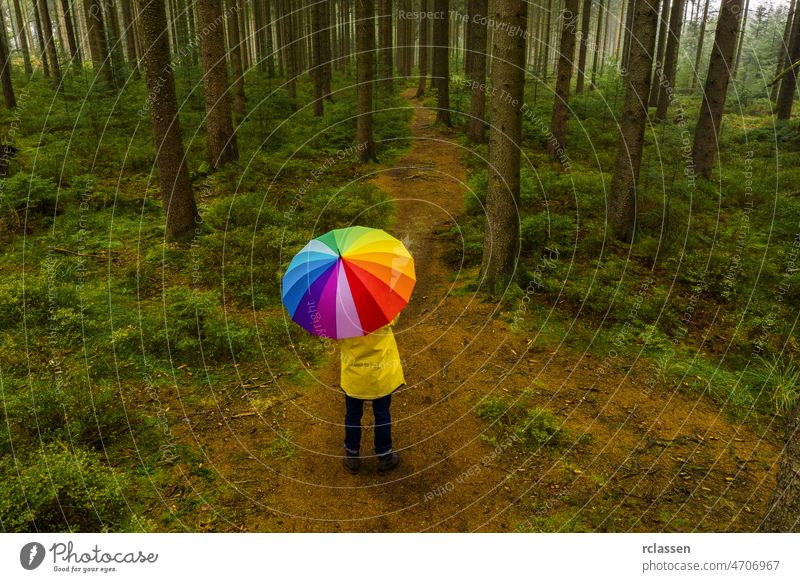 Aerial view of man holding rainbow umbrella in the forest - view from a drone meadow autumn raincoat top color grass multicolored hike hiking lonely mood path