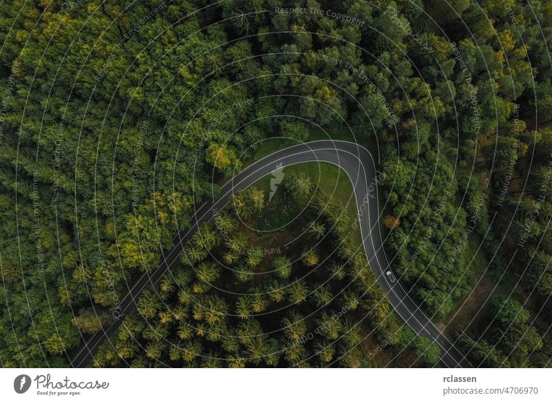 curved Road surrounded by trees in the forest, drone shot road aerial view eye landscape nature curvy adventure green country birdseye car asphalt grass natural
