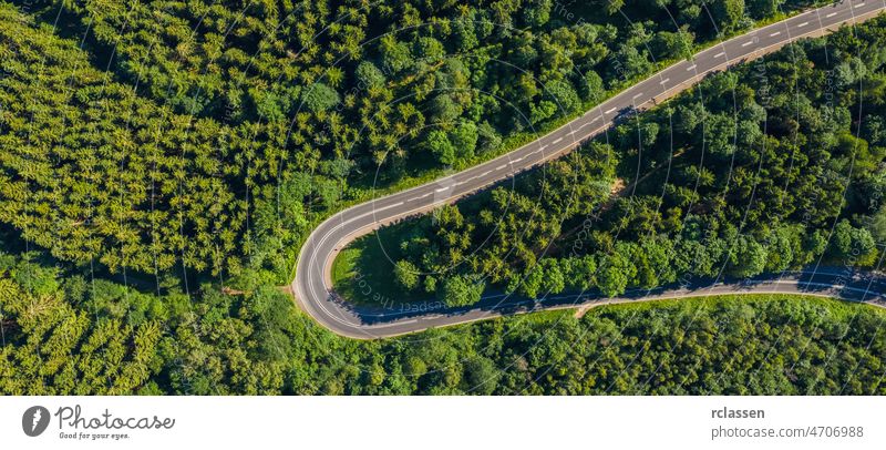 Aerial view of mountain curve road with cars, green forest in spring in Europe. Landscape with asphalt road, and trees. Highway through the park. Top view from flying drone.