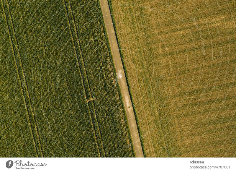geometric shapes of agricultural parcels of different crops in brown colors. Aerial view shoot from drone directly above field aerial farm grass green