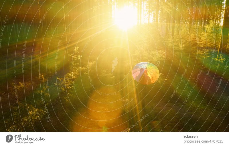 Aerial view of man with rainbow umbrella in the sunlight forest - view from a drone meadow autumn raincoat color grass multicolored hike hiking lonely mood path