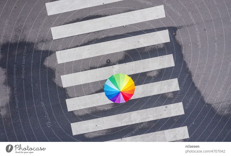 rainbow umbrella on a pedestrian crosswalk - view from a drone top crossing color road city walking minimal background asphalt white rainy loneliness straight
