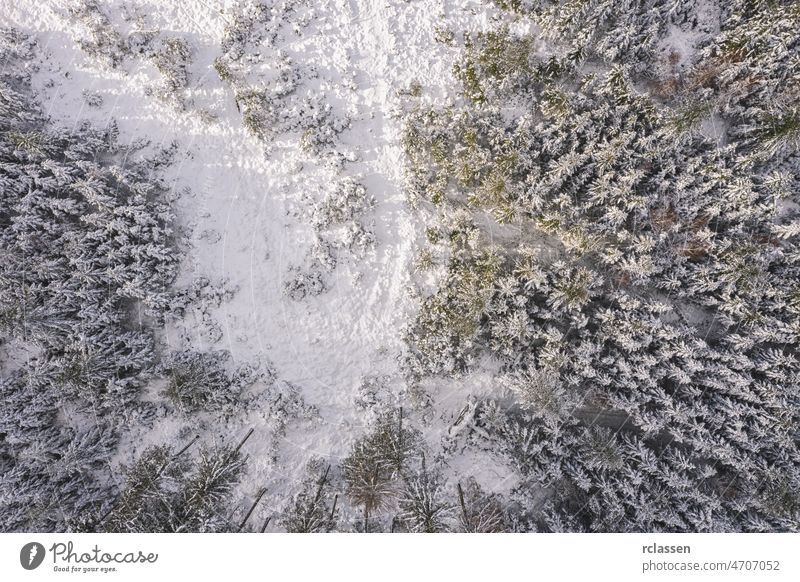 Top view of winter forest with sunlight. Drone Shot aerial day drone landscape snow wallpaper above adventure background beautiful blue cold environment flight