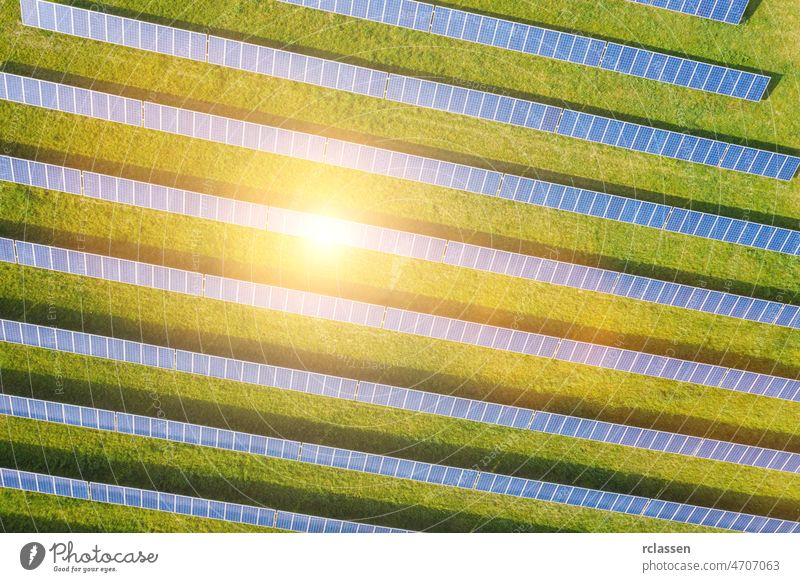 aerial view of solar panels on a sunny day. power farm producing clean energy field drone sustainable environmental plant wind ecosystem industry photovoltaic