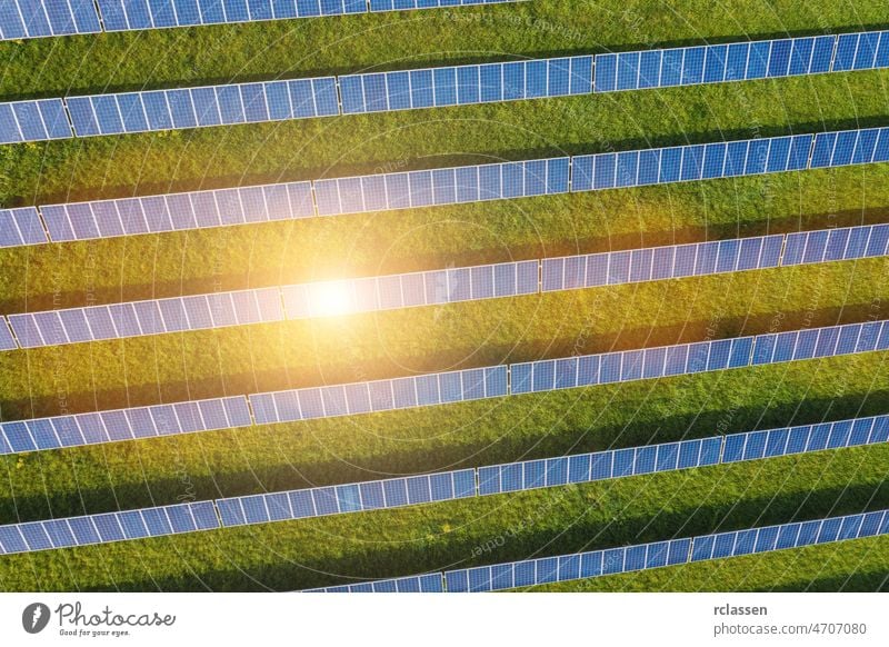 Solar panel field solar farm drone power sustainable environmental energy plant sun wind ecosystem industry photovoltaic nature aerial science cell innovative