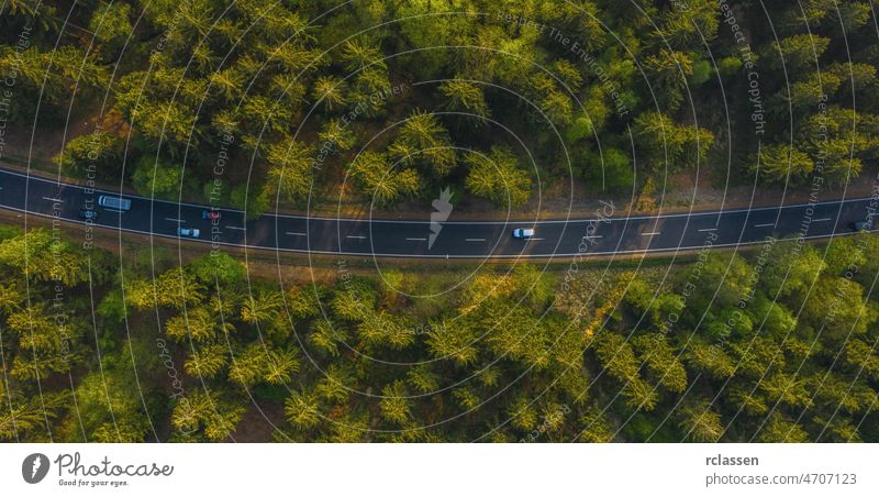 Aerial view of cars driving through the forest on country road. aerial drone eye curve red landscape nature adventure green asphalt grass natural outdoor plant