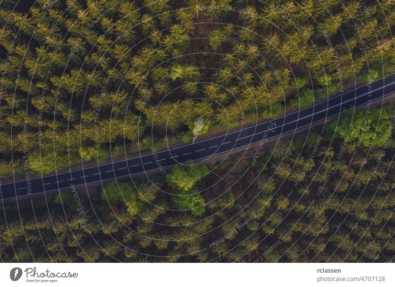 Aerial view of a road in the middle of the forest aerial drone eye landscape nature adventure green country asphalt grass natural outdoor plant rural summer