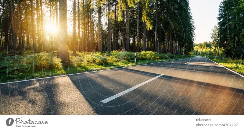 hughway into Forest in summer with beautiful bright sun rays road mountain highway empty sunrise sunset trip scenic landscape forest asphalt journey alpine alps