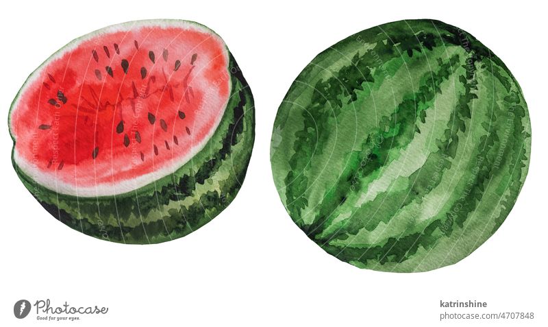 Slice of red juicy watermelon. Watercolor tropical fruit illustration Botanical Cut Decoration Element Exotic Fruitarian Hand drawn Healthy Ingredient Isolated
