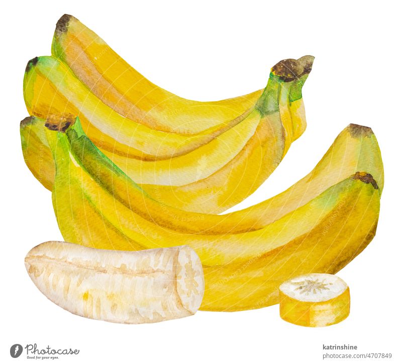 Watercolor yellow ripe bananas. Whole and pieces of banana tropical fruit illustration Botanical Cut Decoration Element Exotic Hand drawn Healthy Ingredient