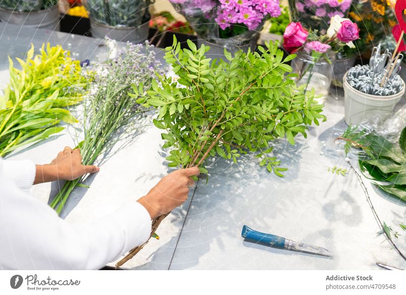 Unrecognizable florist with pistacia branches seller worker decoration floral shop plant floristry employee professional store job small business workday botany