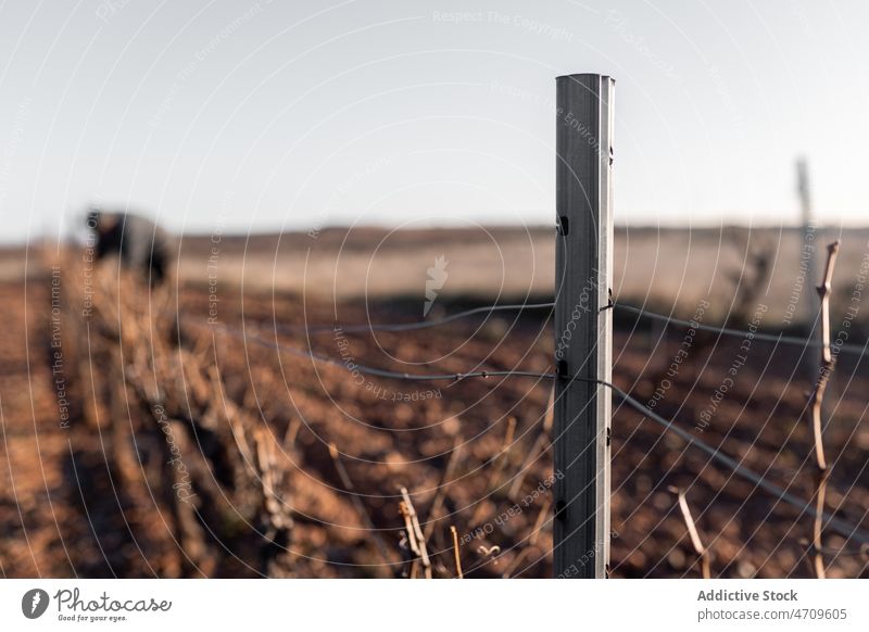 Post with wire in countryside post pillar fence field agriculture plantation agronomy person rural metal environment cloudless terrain light material scenic