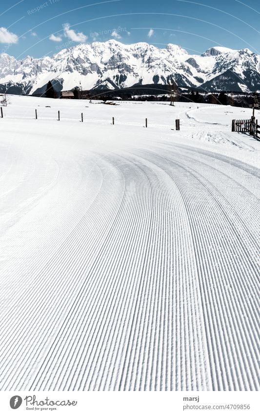 But now end of winter. Piste equipment tracks in the snow. In the background snow-covered mountains. In the middle the Scheichenspitze. Ski run Snow White