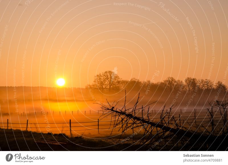 Foggy sunrise over a pasture with horses and idyllic fence in the foreground. Sunrise Landscape Tree Nature Meadow Morning Silhouette Sunset Sky Field Forest