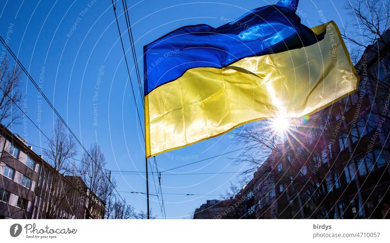 waving Ukrainian flag with bright sun in backlight. City Ukraine Ensign blowing Radiant sun Sunbeam Ukraine war Politics and state Pride Blue-yellow Solidarity