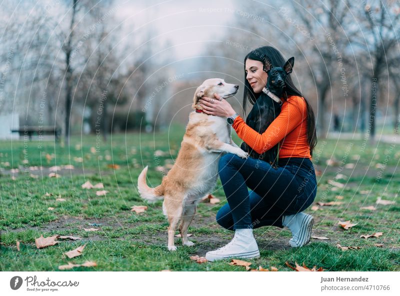 Young woman tenderly caresses her two dogs. pretty young tenderness hold pet pets puppy canine friendship owner one person outside relationship ladies