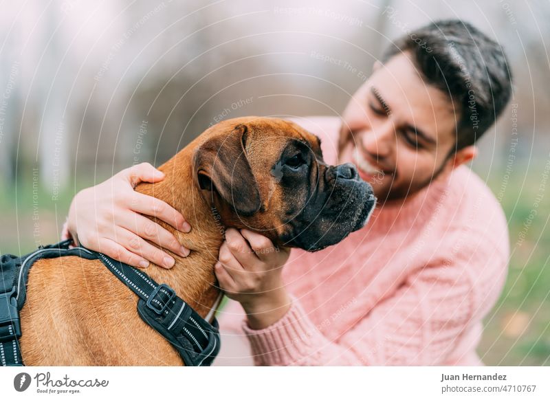 young man with his boxer dog in the park. focus on the dog handsome public pet canine friend friendship togetherness companion purebred owner protection